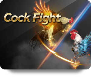 Đánh Giá ZingPlay Cá Độ Cường: Ưu Nhược Điểm Chi Tiết